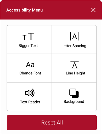 Custom Accessibility Tool